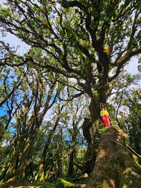5 Days Hoang Su Phi Trekking Holiday